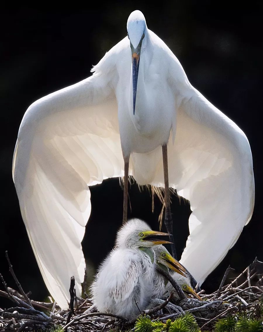 美到极致的自然风光摄影师大赛,自然之美第7集