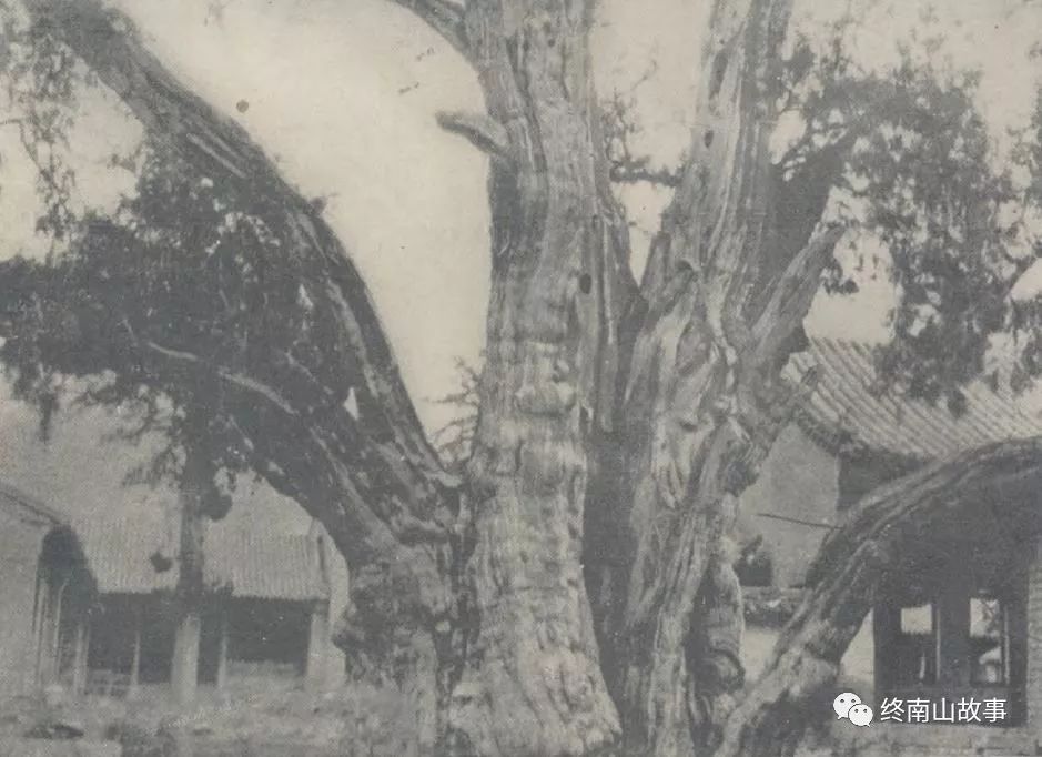 从南京出发到嵩山少林寺,寻访少林寺完整版