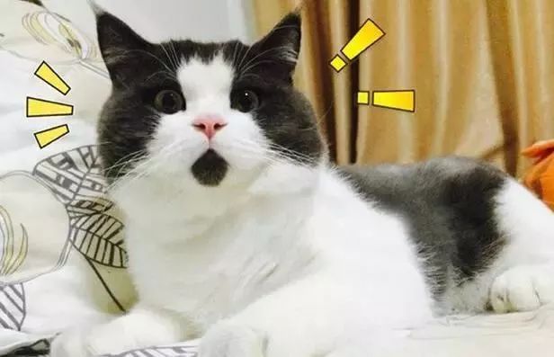 鏈夌洍鐢ㄨ闊冲井淇¤楠楅挶鐨勫悧,灞卞寰俊杞彂璇煶琚獥