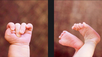 家里有小公举的看过来,家有小公举