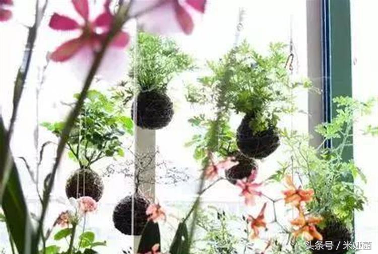 夏季植物晒伤怎么缓解,夏季炎热中暑如何自救