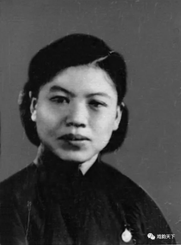 桑振君唱段马金凤,豫剧桑振君投衙全剧