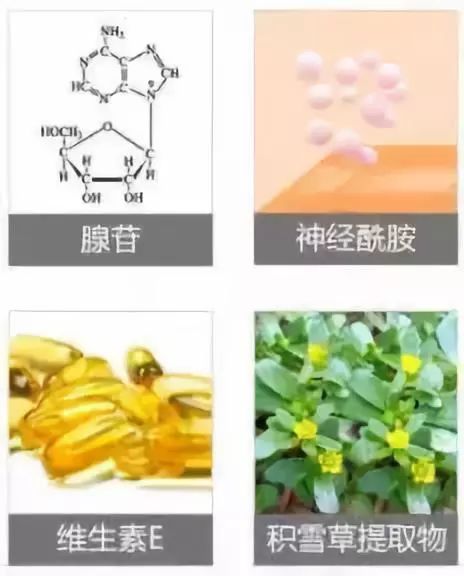 2周!黑眼圈没了、眼纹也淡了这个“眼周小熨斗”让眼睛年轻了10岁不止!