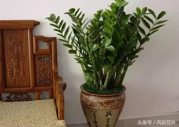 什么花适合送朋友呢,送朋友什么花好又实用