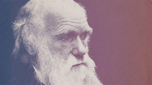 动物能感知人类心情吗,动物能感到开心吗