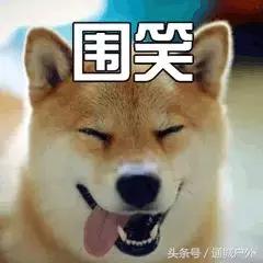 湖北男生适合娶哪个地方的姑娘,湖北哪个县的男人值得嫁