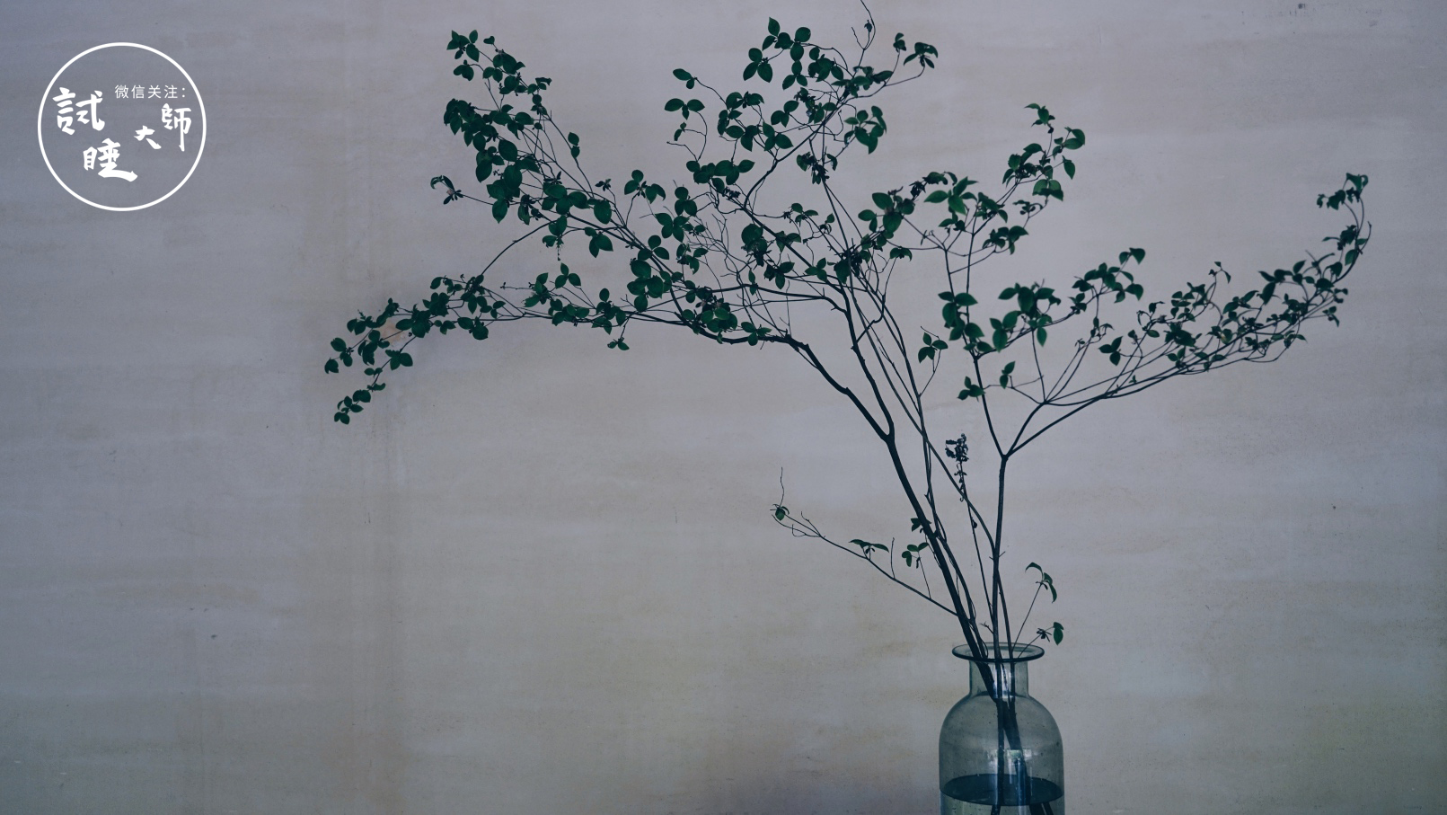 青春旅社王源选秋老师,青春旅社王源莫干山