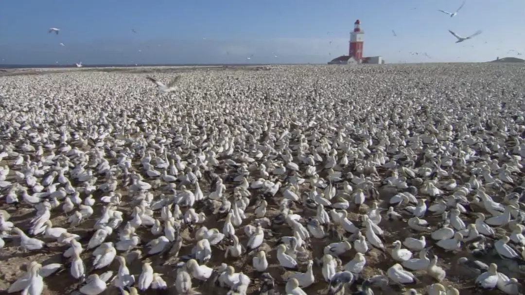 十部震撼神级片,9部堪称神作的纪录片火山
