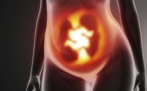 受孕着床过程真人,受孕着床过程走近科学