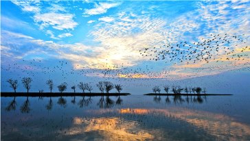 湖南5a旅游景区名单有哪些,湖南著名的5A景区