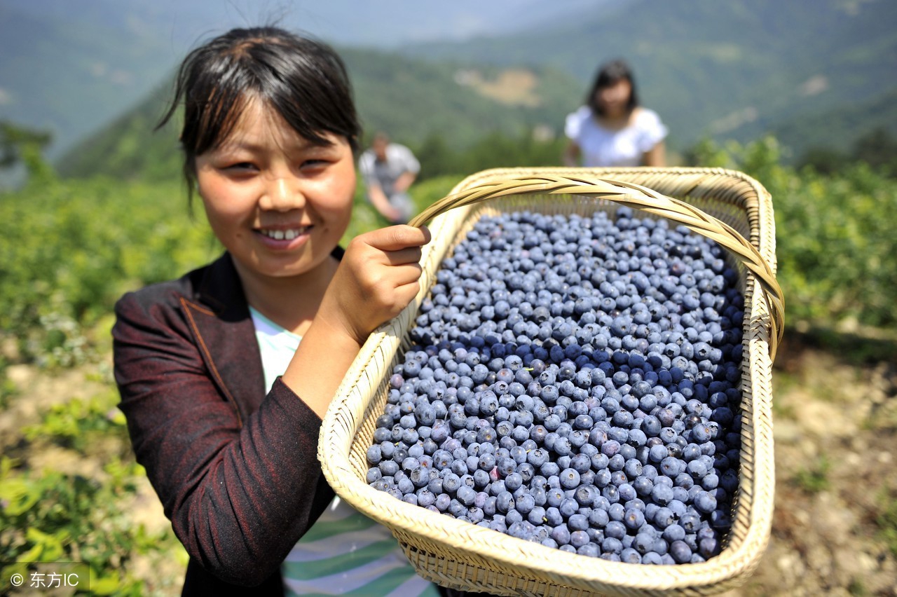 新人怎么入行网上开店,网上开店怎么爆单