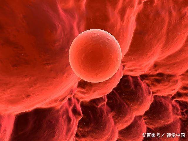 如何判断排卵期?不用算日子,不用买试纸,这个方法简单好用