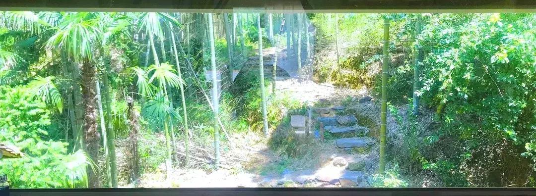 常山云湖仙境旅游攻略,常山慢城旅游攻略