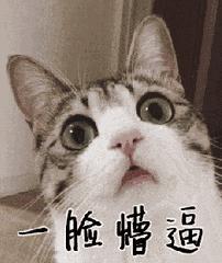 淳安县怎么样,淳安这个地方怎么样