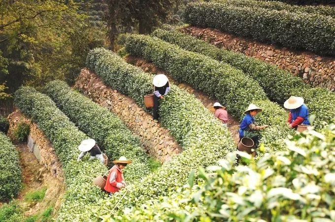 上海最有实力的商人,上海商人多有钱