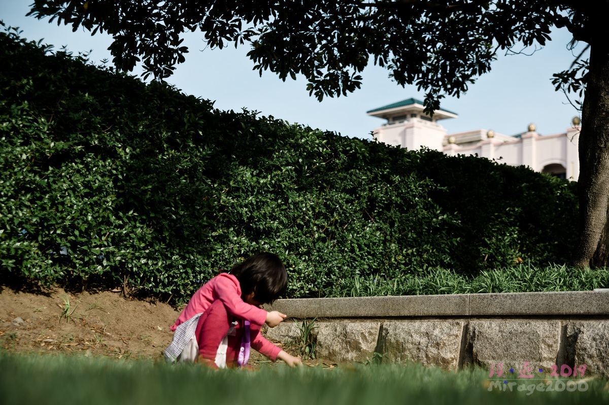 泰迪熊博物馆济州岛拍照攻略,济州岛假泰迪熊博物馆