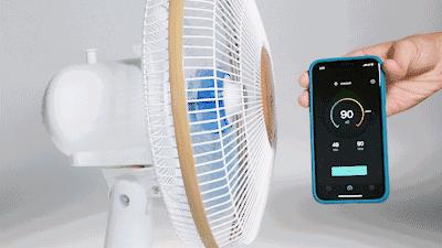 淘宝已逛烂？其实还藏着这些零差评好物~