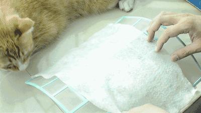 淘宝已逛烂？其实还藏着这些零差评好物~