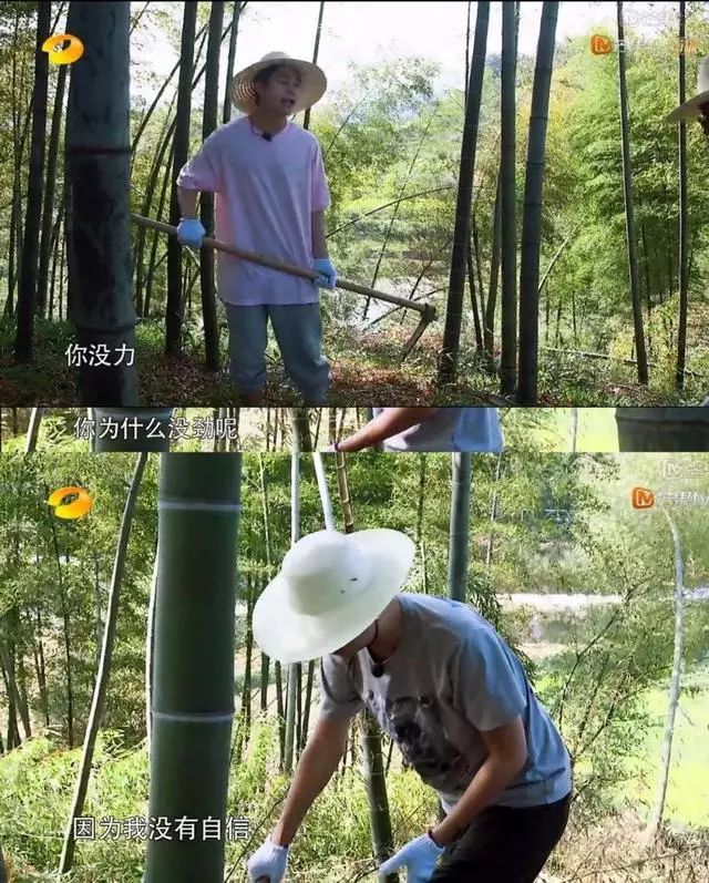 李诞说成都吃喝玩乐,李诞的受众