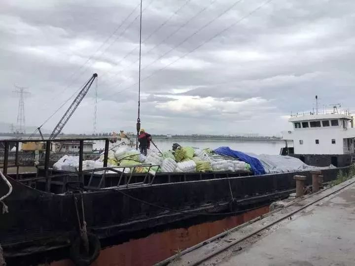 太恶心！“古着”其实是洋垃圾！数百吨韩国人扔掉的名牌旧衣服，在浙江被截……