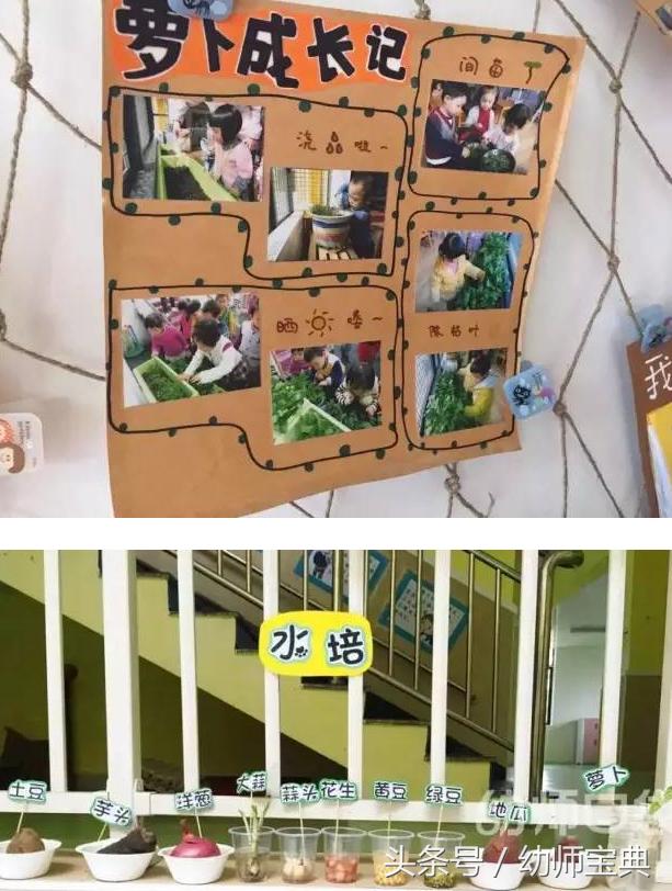 幼儿园科学区角设计,幼儿园区角科学区视频