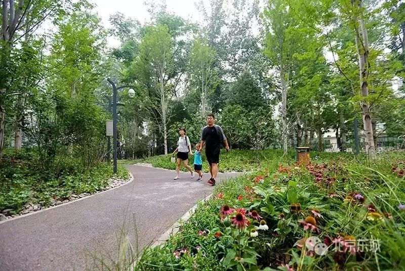 工体为何那么出名,工体为什么叫天花板