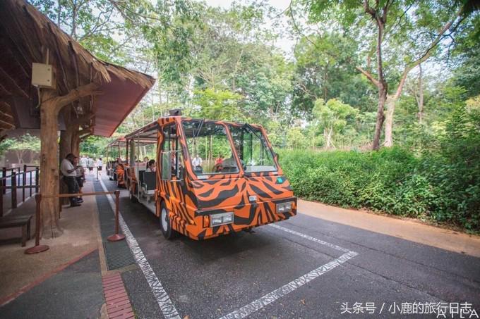 说走就走｜玩遍这些才算来过新加坡！