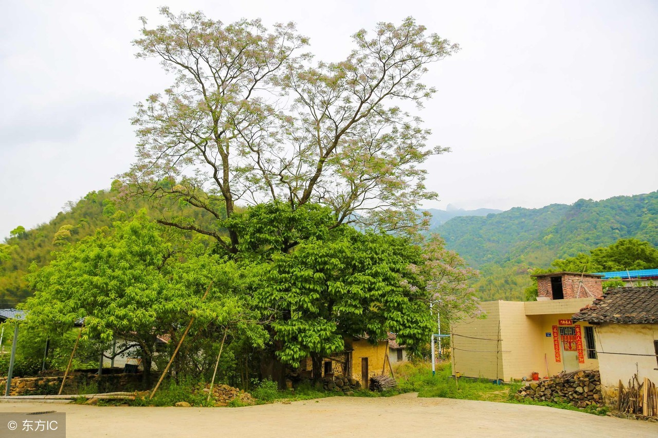 广州南沙自驾游一日游推荐,广州南沙亲子游自由行攻略