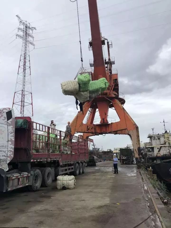 恶心！数百吨韩国人扔掉的旧衣服在浙江被截！你淘来的……