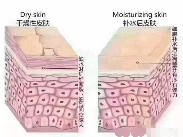 薇诺娜面膜一周敷几次合适,rosien面膜好用吗