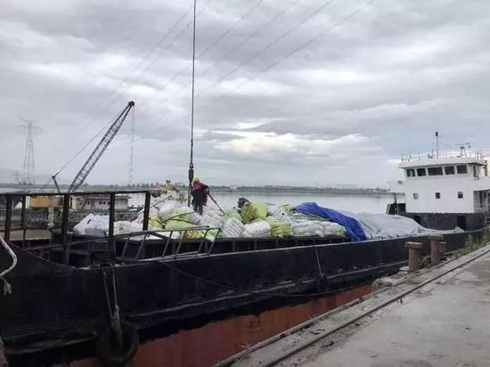 数百吨韩国旧衣在浙被截你淘的名牌货或暗藏病菌