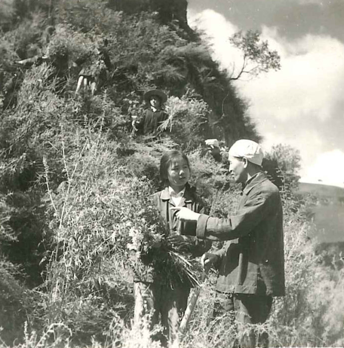 激情燃烧的革命年代,激情燃烧的知青故事