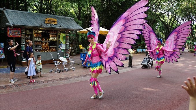 带小孩去长隆欢乐世界畅玩一天,暑假带娃去广州长隆野生动物世界