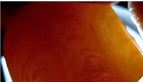 俄料蜜蜡和乌料蜜蜡原石,蜜蜡有假的吗假的是什么材料的