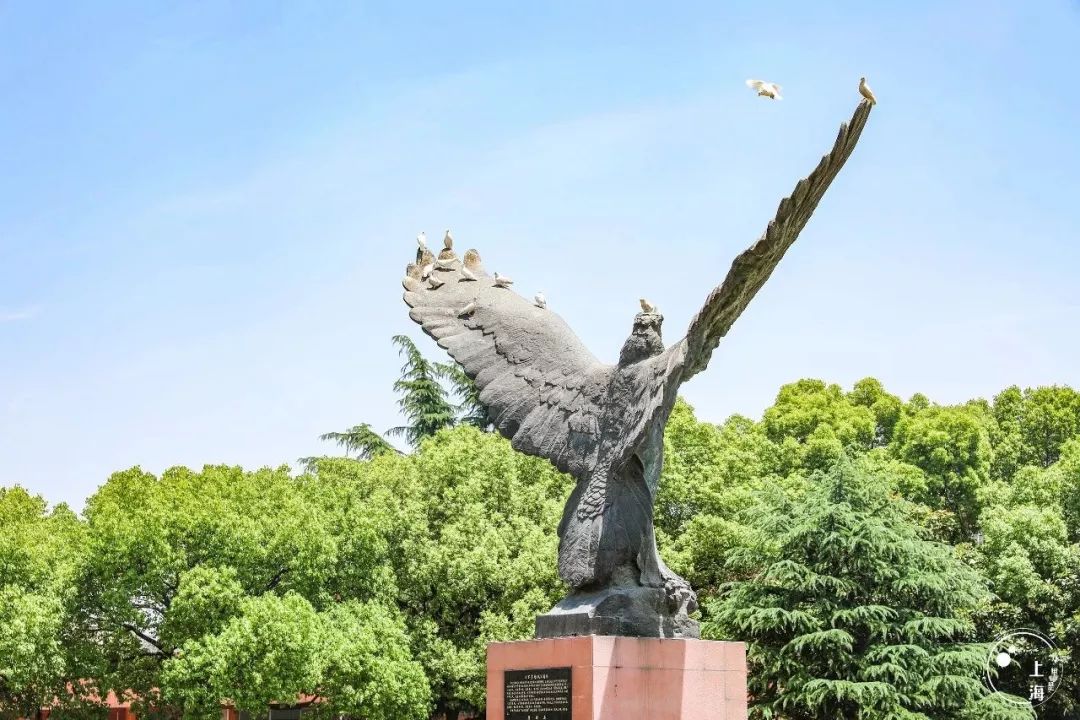该不该去上海读大学,千万不要来香港读研
