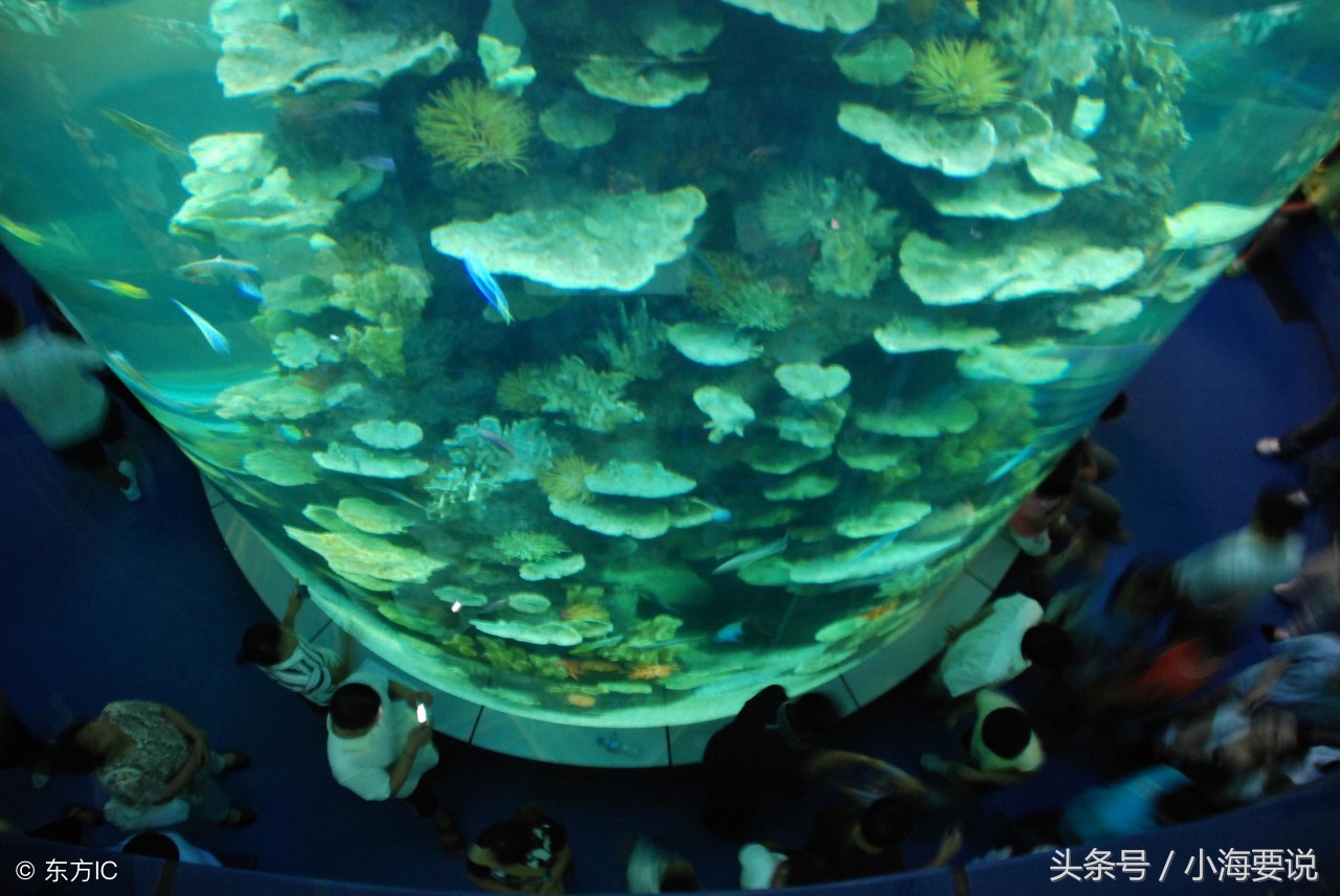 大连下午去哪里玩最合适,大连游玩几天够