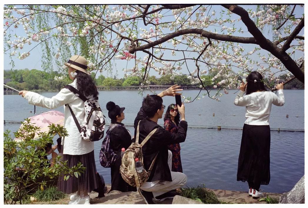 上海到成都一路上打卡地,从上海到成都的攻略