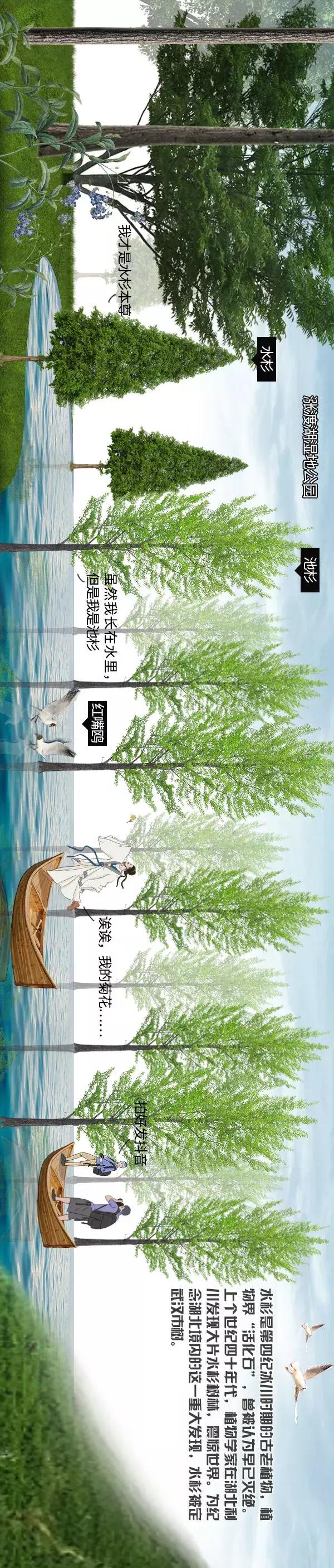 清凉画画法,清凉夏日主题绘画怎么画