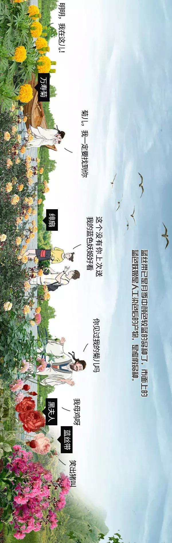 清凉画画法,清凉夏日主题绘画怎么画