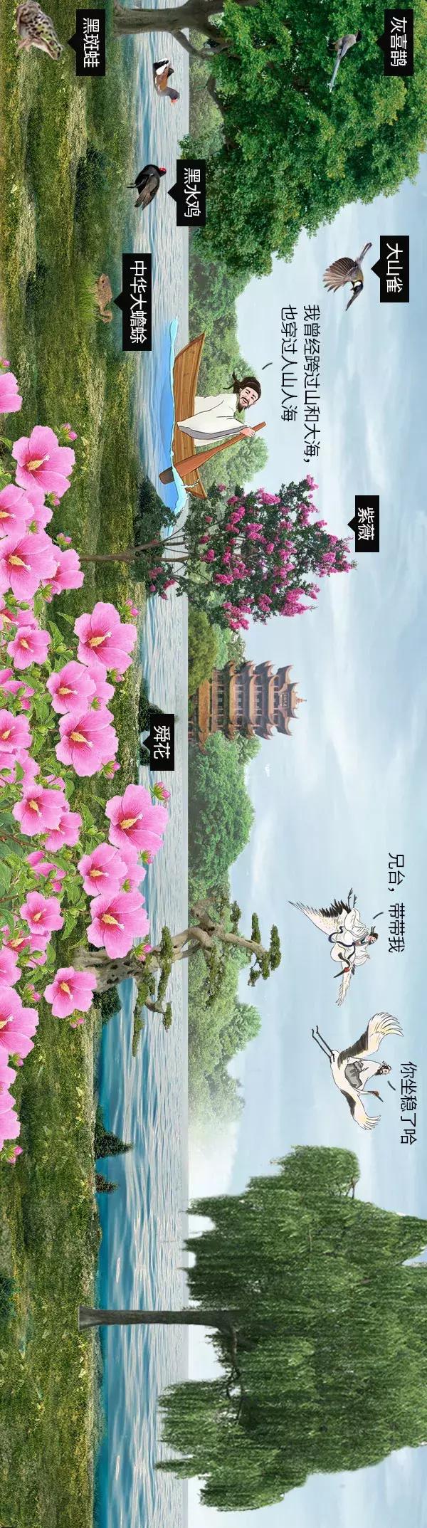 清凉画画法,清凉夏日主题绘画怎么画