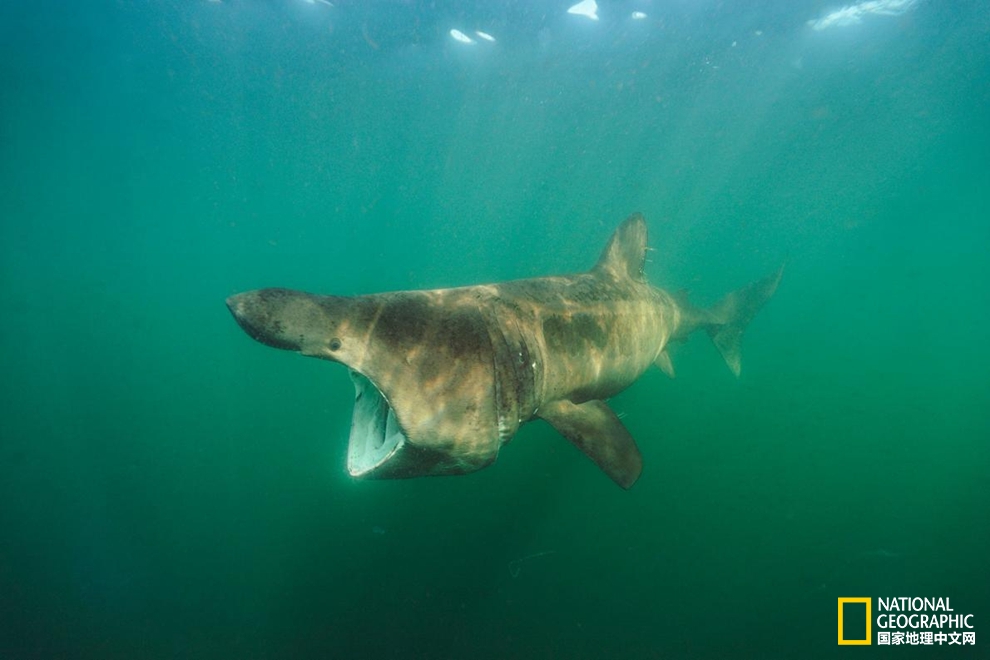 一支防晒霜还需要一顶帽吗,一支防晒霜需要多少帽子