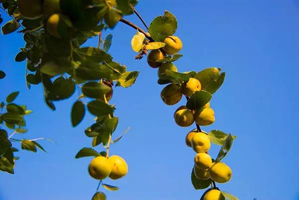 下一站溆浦南站,下一站怀化南站