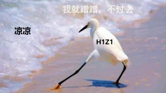 h1z1为什么火起来,曾经比吃鸡还火的剧情游戏