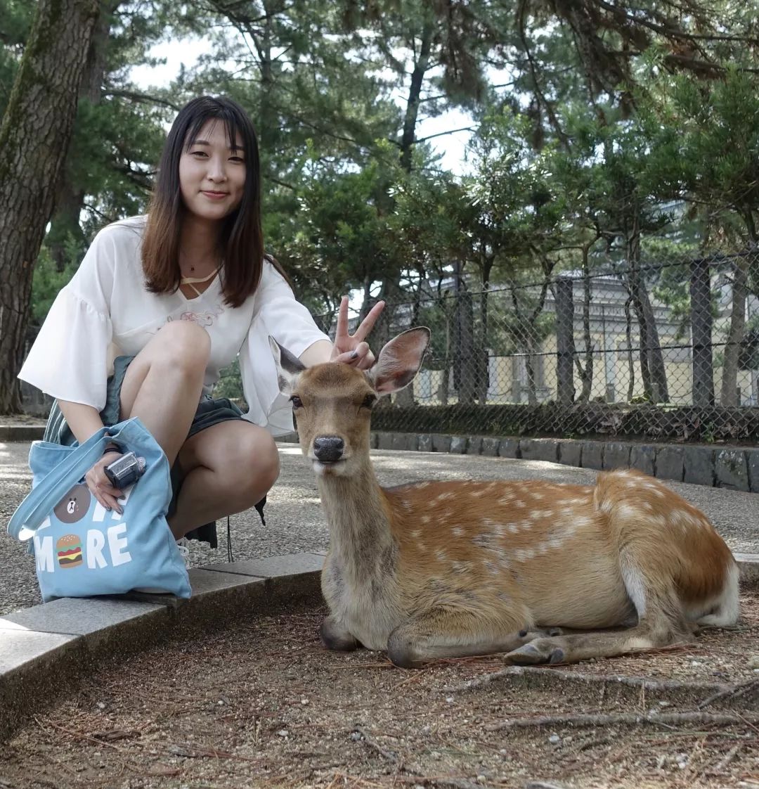 考录聘用制书记员,法院省统招的聘用制书记员