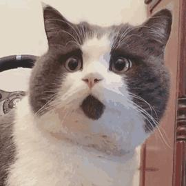 柳州为什么停水都是晚上停,柳州停水公告最新信息