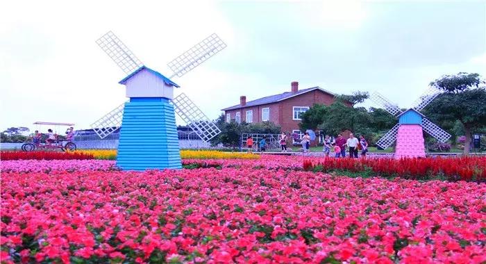 对不起，我劝你千万别去从化，不然会后悔……