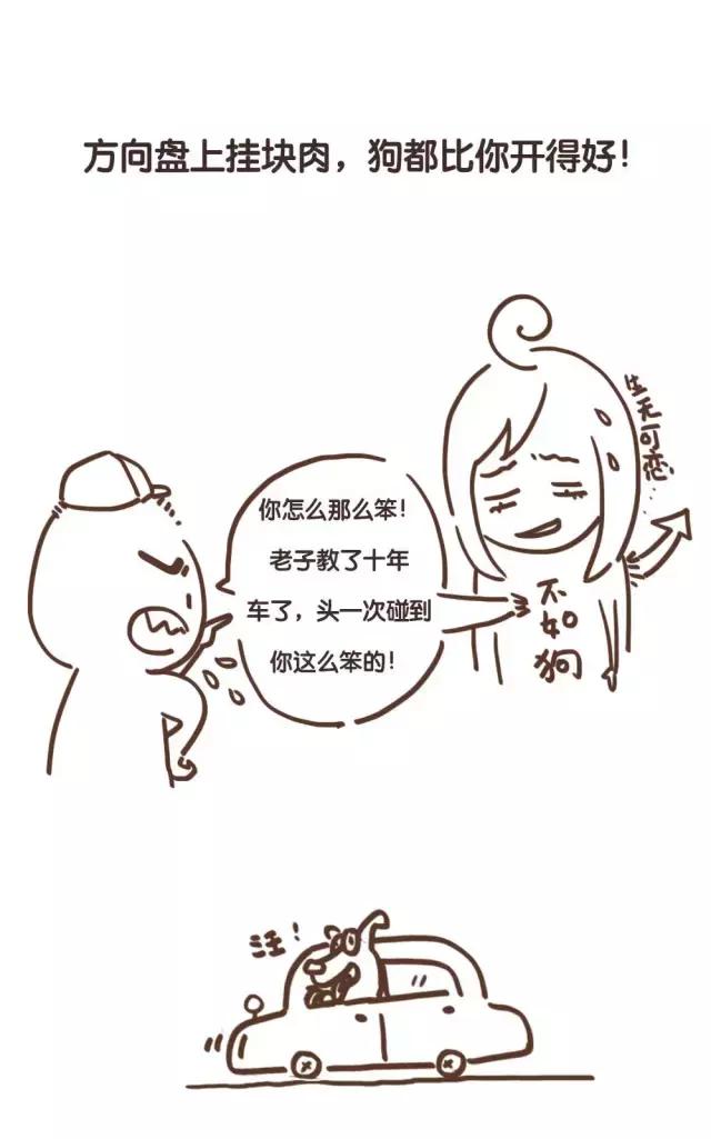 采访驾校教练金句,驾校教练都说过什么话呀