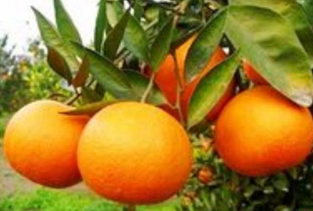 周公解梦梦到自己穷困潦倒,周公解梦梦到什么预示升官