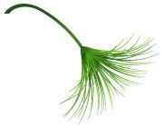 有鼻炎困扰的小伙伴看过来,有鼻炎的人找谁