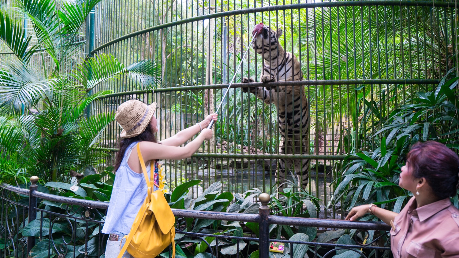 巴厘岛吃喝攻略,巴厘岛闺蜜